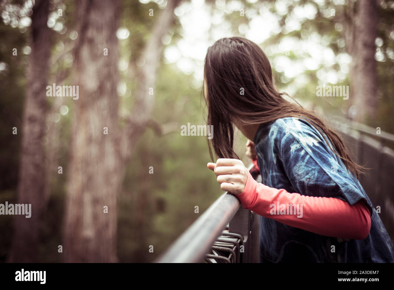 androgynous woman leans over railing in treetop walk through forest Stock Photo
