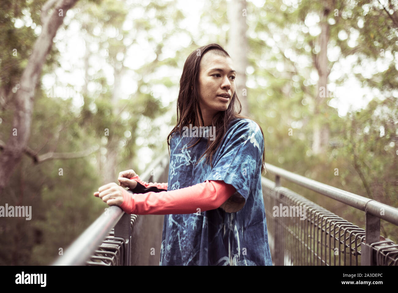 androgynous asian with ninja shave looks at forrest on tree top walk Stock Photo