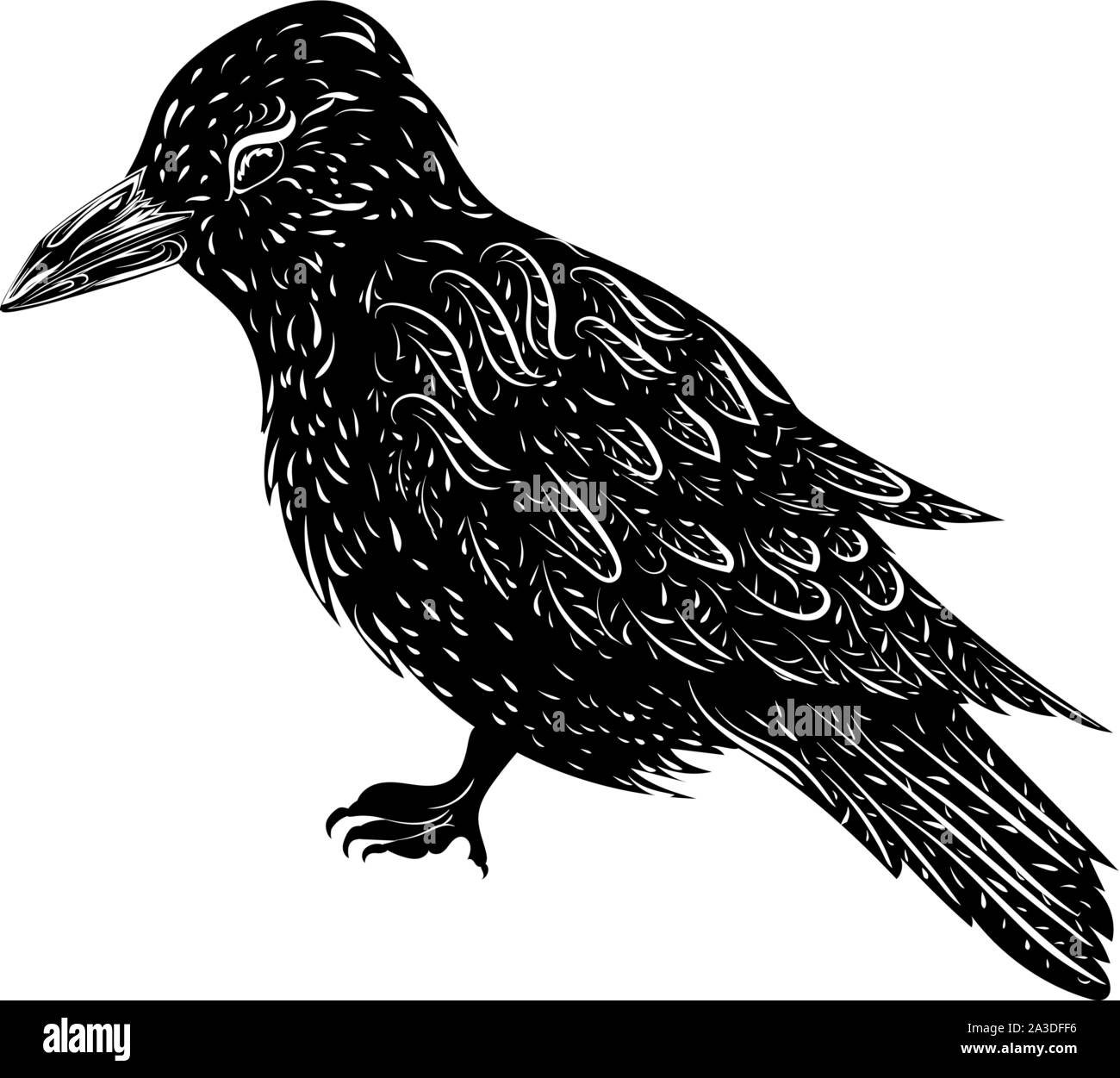 Raven tattoo Black and White Stock Photos  Images  Page 3  Alamy
