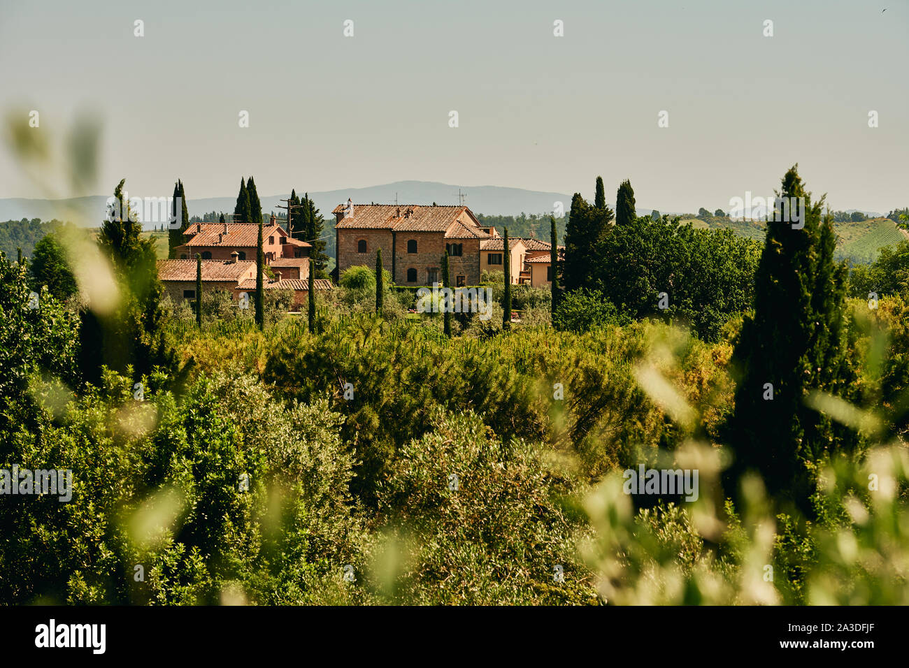 Trough bushes view of peaceful picturesque quiet countryside with brick houses among green olive trees and cypresses in Tuscany Italy Stock Photo