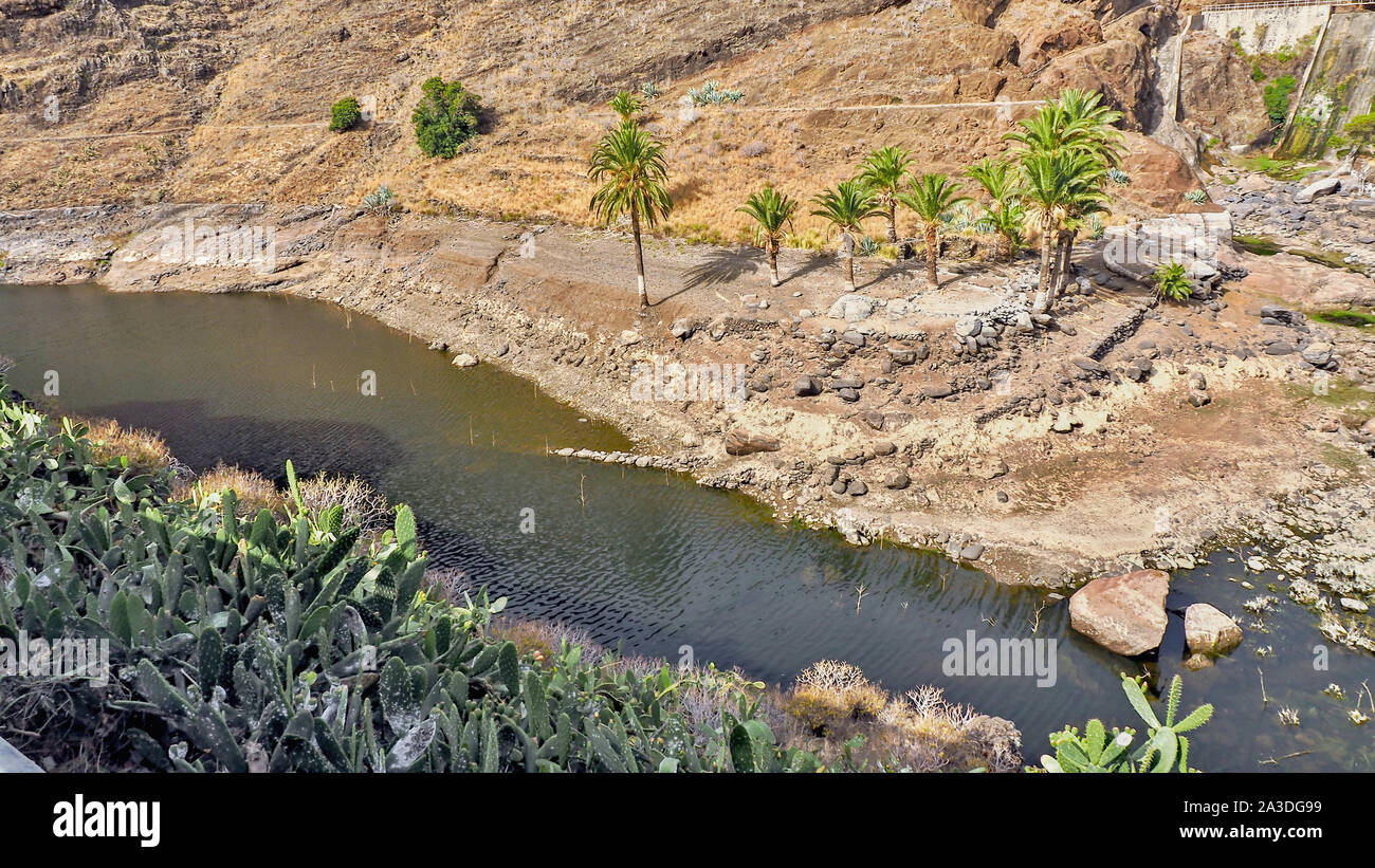 beautiful landscape with lake and palm trees in the Barranco de las Lajas in the northeast of the canary island La Gomera. Stock Photo