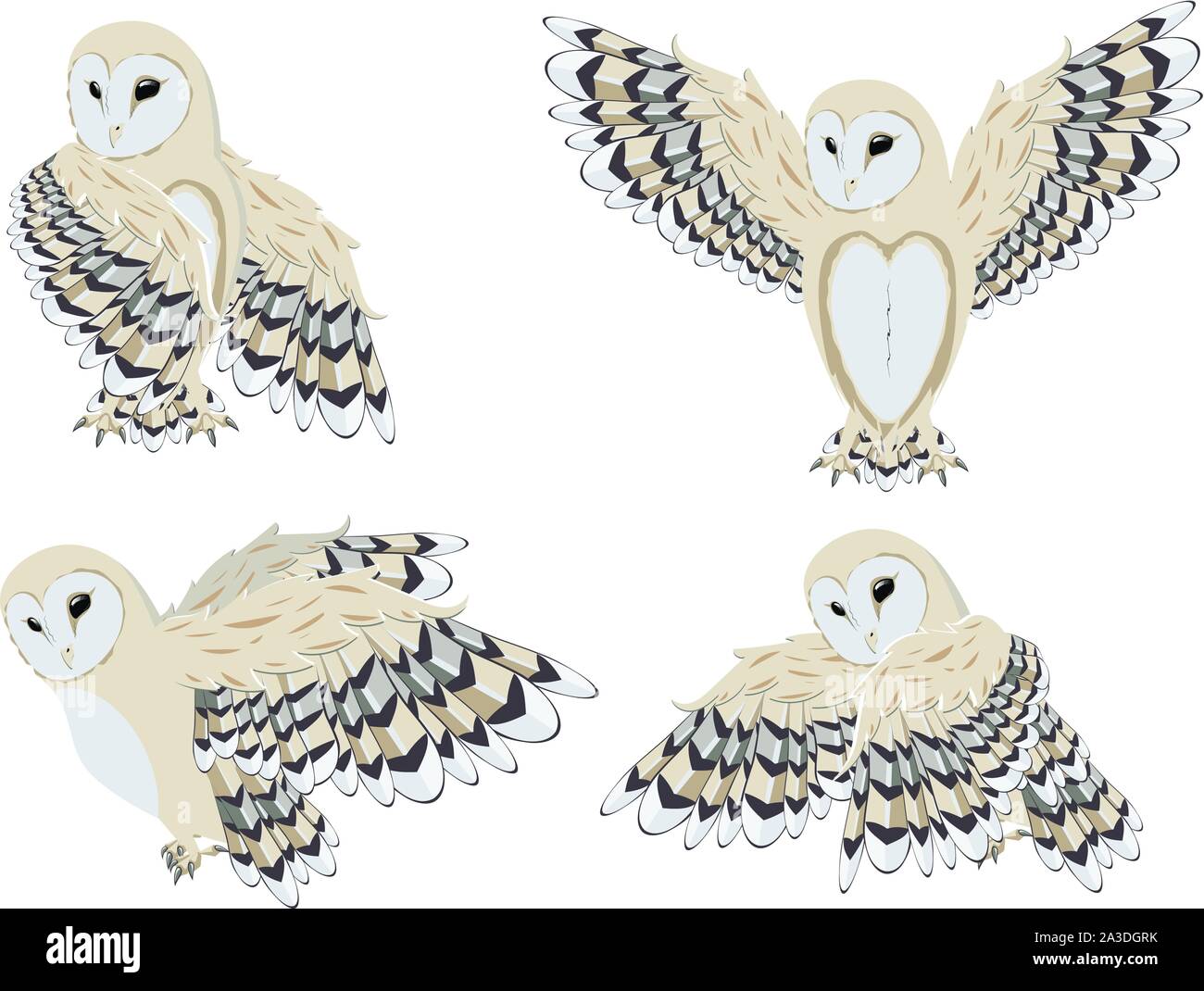 Illustration Of Cartoon Barn Owl On White Background Stock Vector
