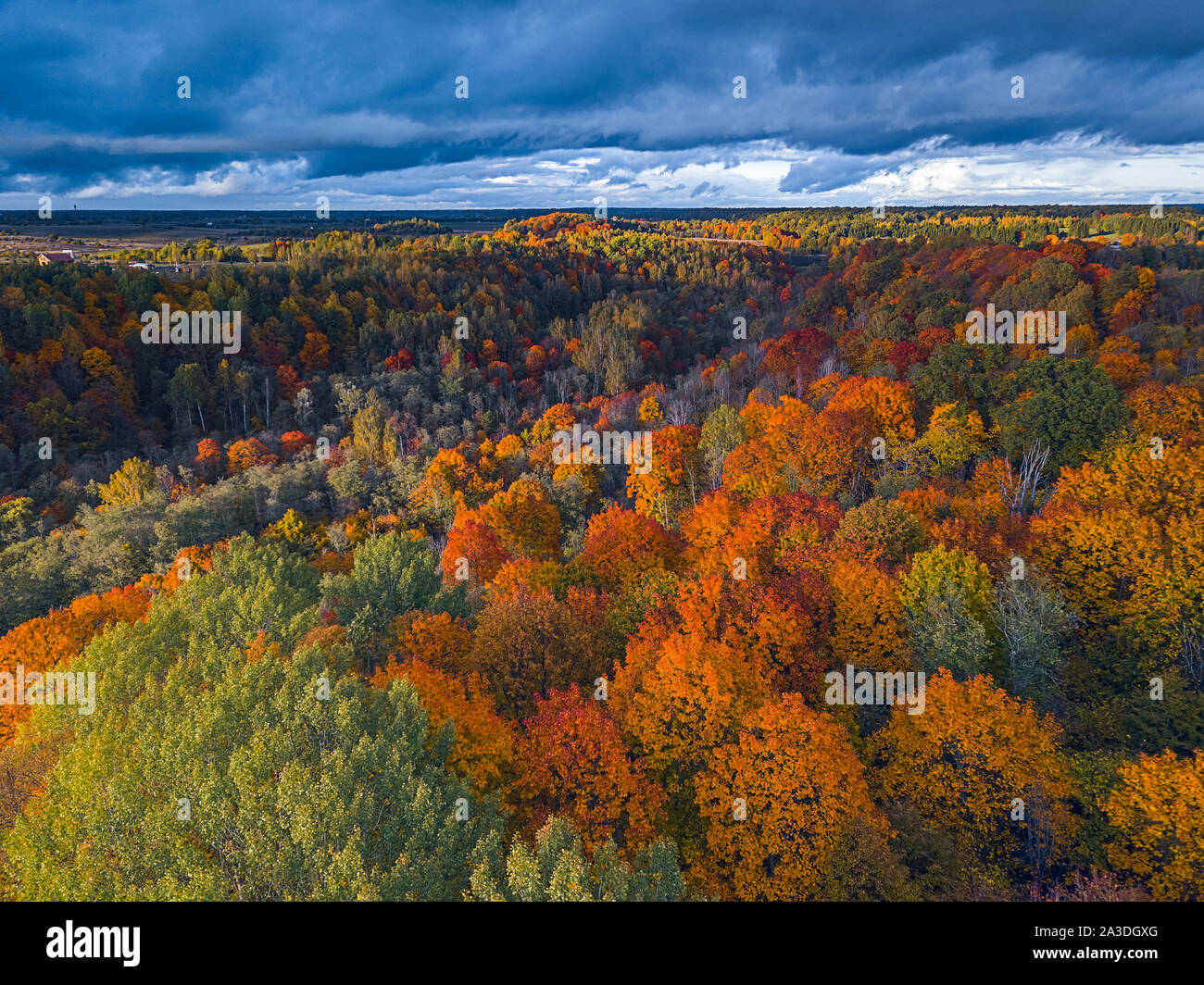 Aerial Drone view of colorful top of the forest at Autumn Stock Photo ...