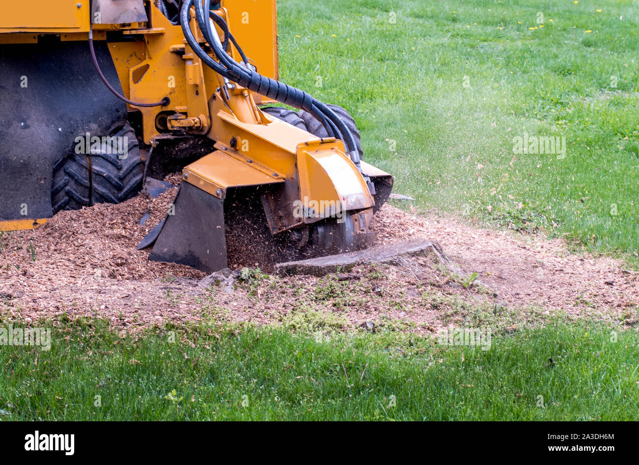 close up of a stump grinder machine, grinding up a tree stump into saw