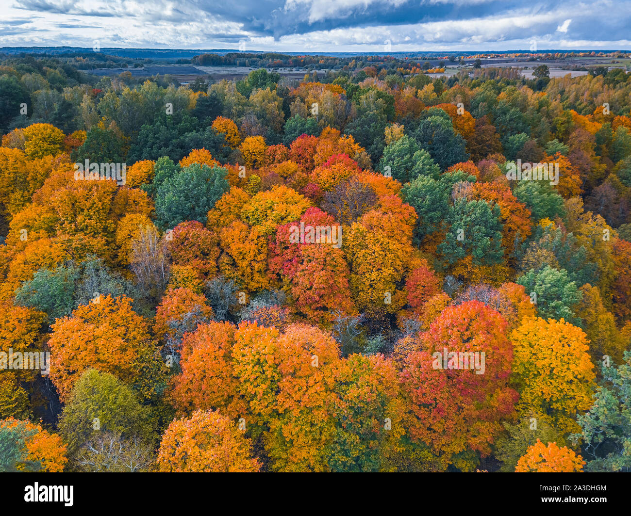 Aerial Drone view of colorful top of the forest at Autumn Stock Photo ...