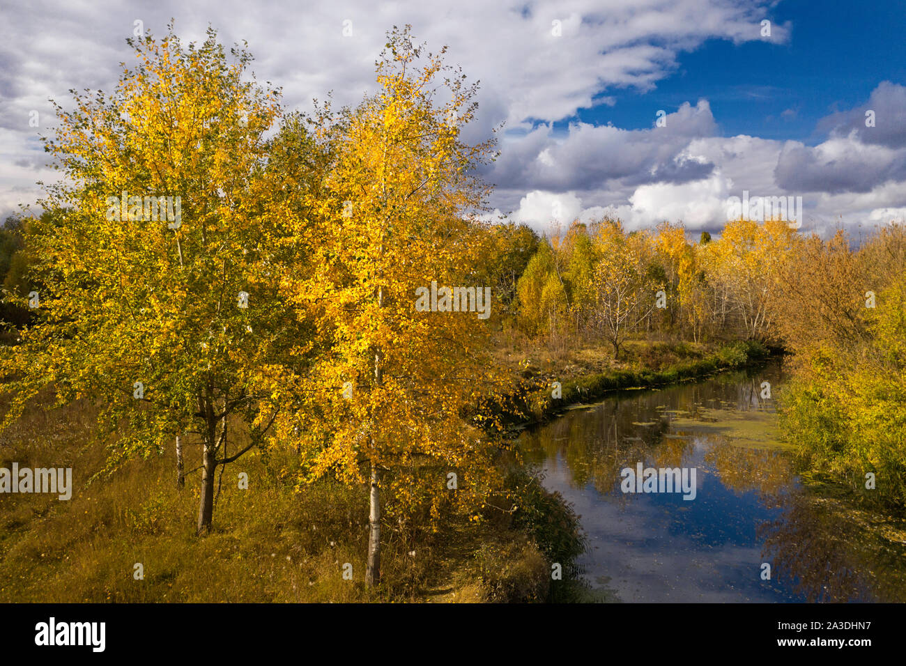 Aerial view river trees grass hi-res stock photography and images - Alamy