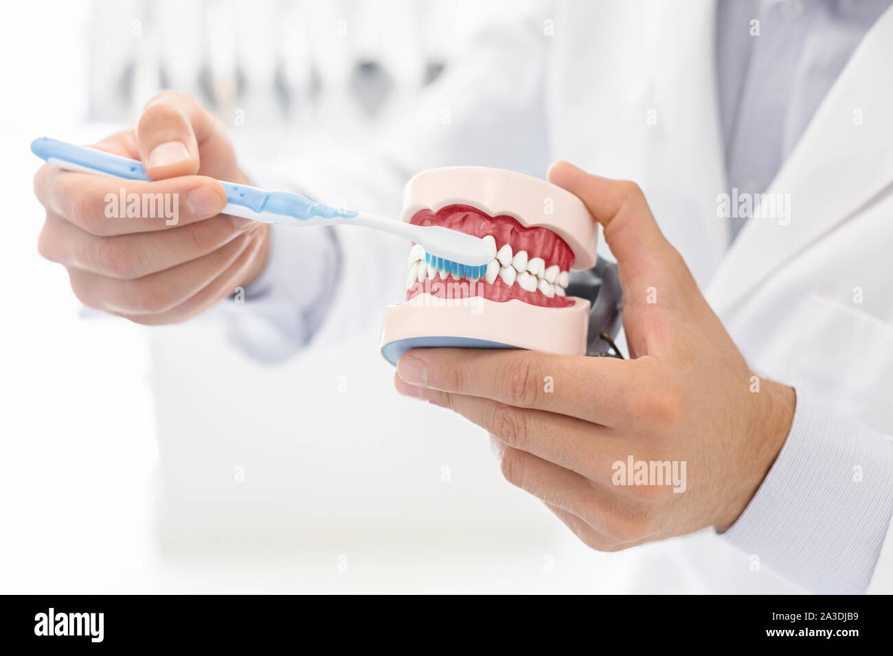 Doctor showing how to brush teeth using jaw model Stock Photo