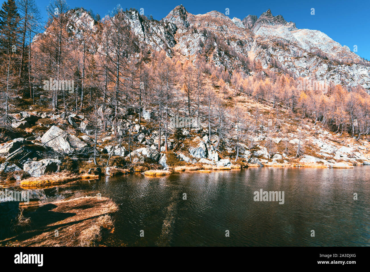 fall season in mountain - Alpe Devero Piedmont Italy Stock Photo - Alamy