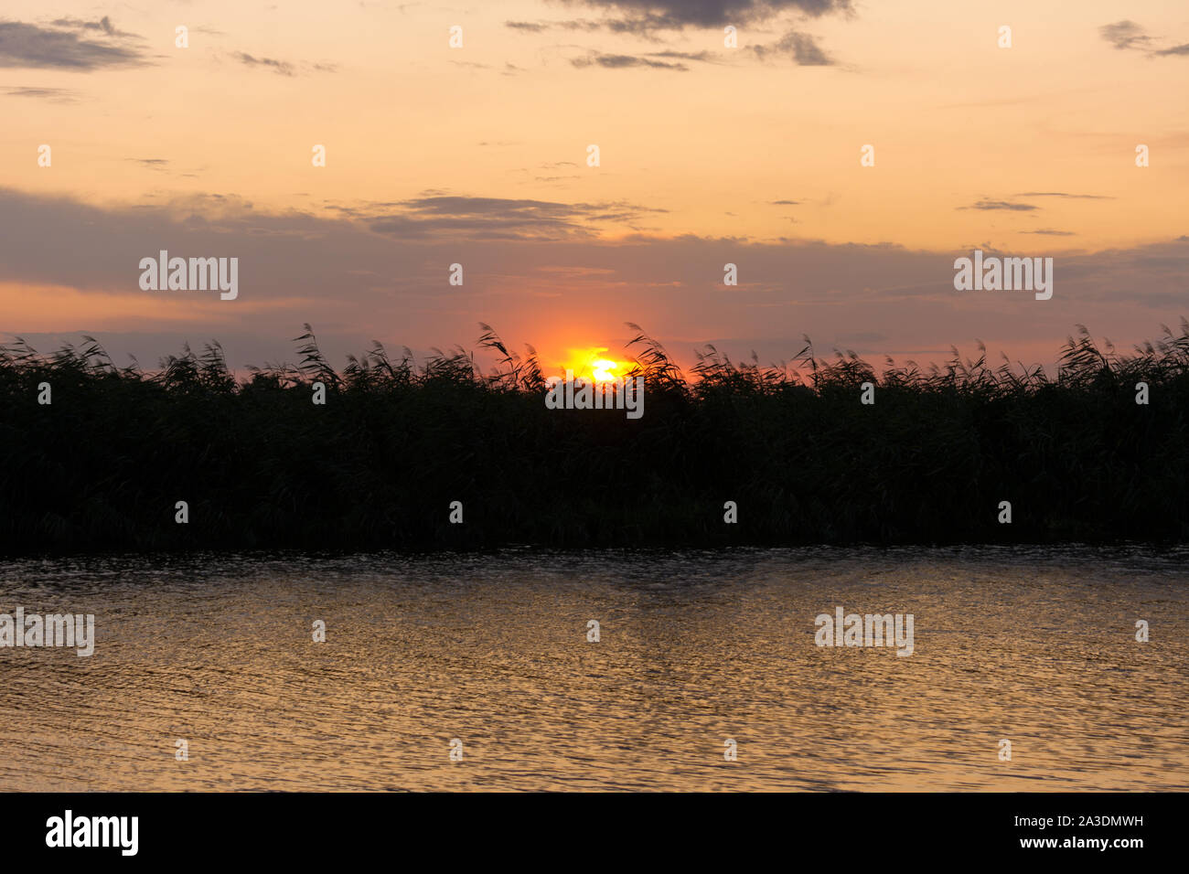 Sunset reflecting at Havel, Westhavelland, Havelaue, Brandenburg, Germany Stock Photo