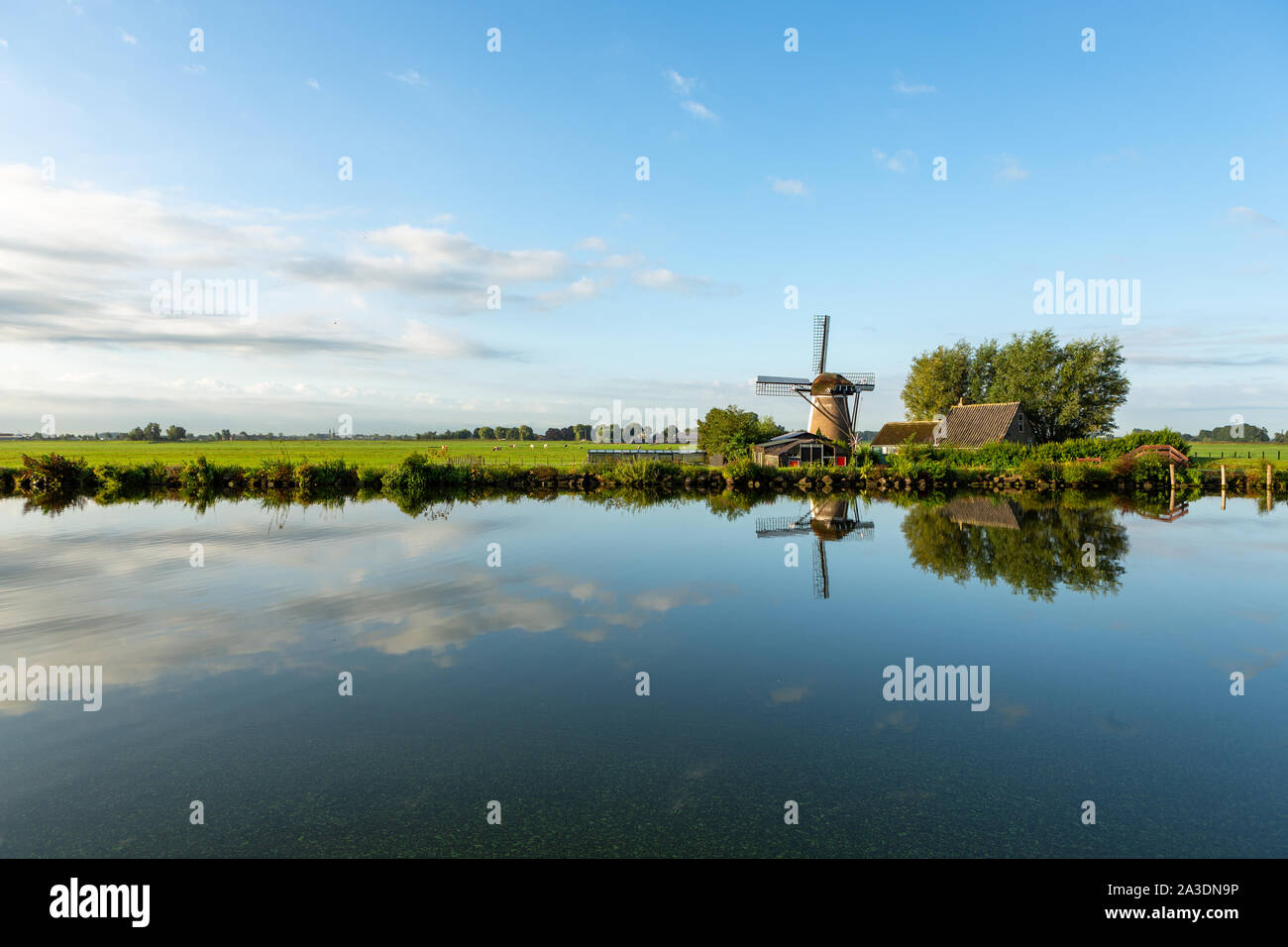Windmill 'the Adermolen' in the morning with a clear reflection in the water of the Ringvaart canal in Abbenes, the Netherlands. Stock Photo