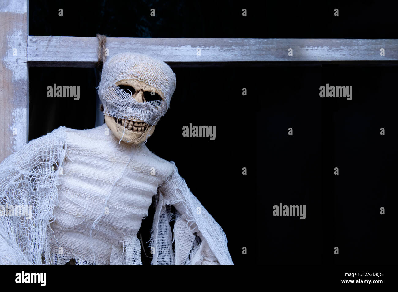 Terrible skeleton on the gallows hangmans rope against dark background