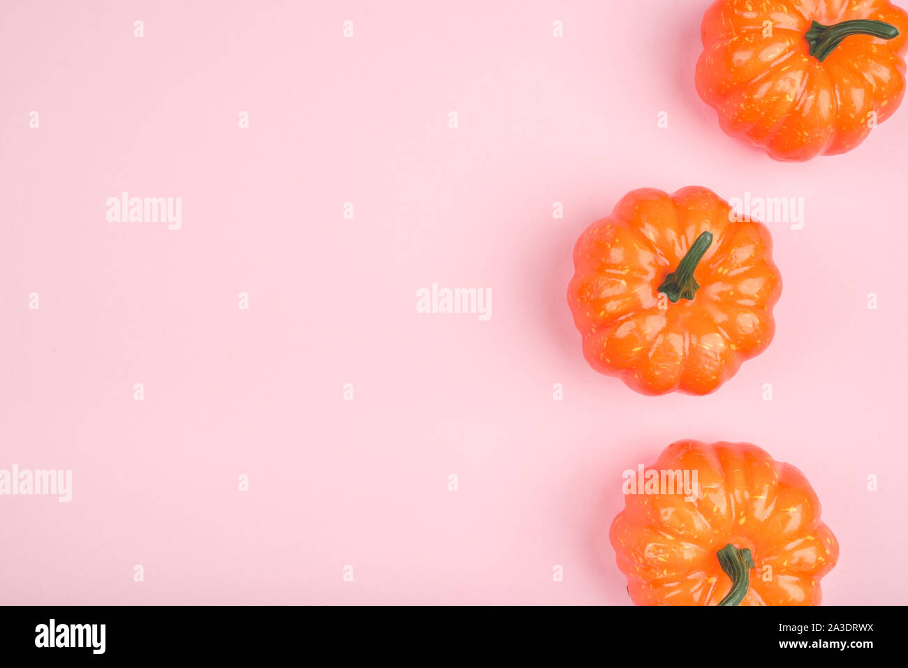 Pink background with three pumpkins. Stock Photo