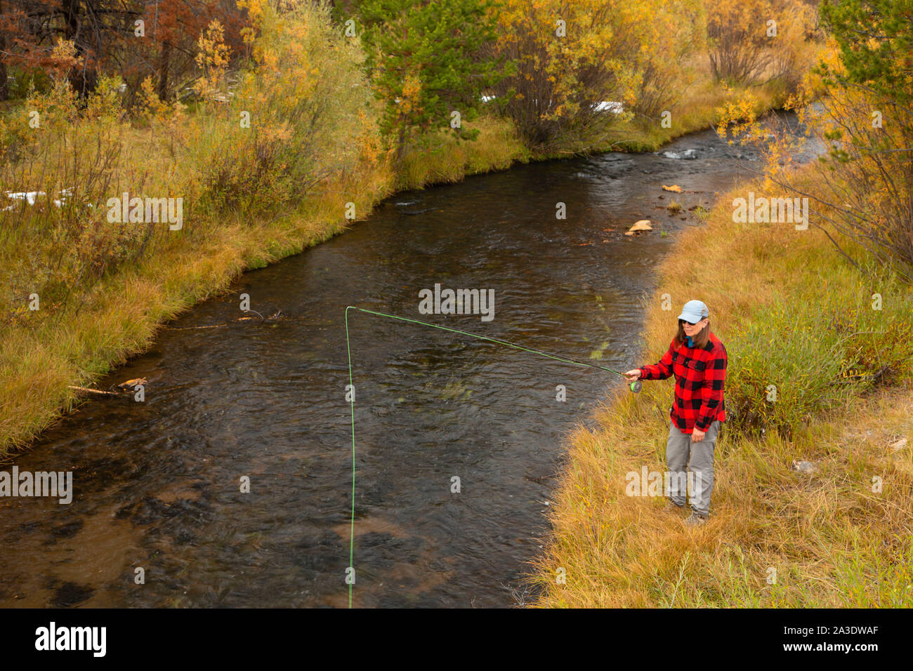 Fly fishing the North Fork Sprague Wild and Scenic River