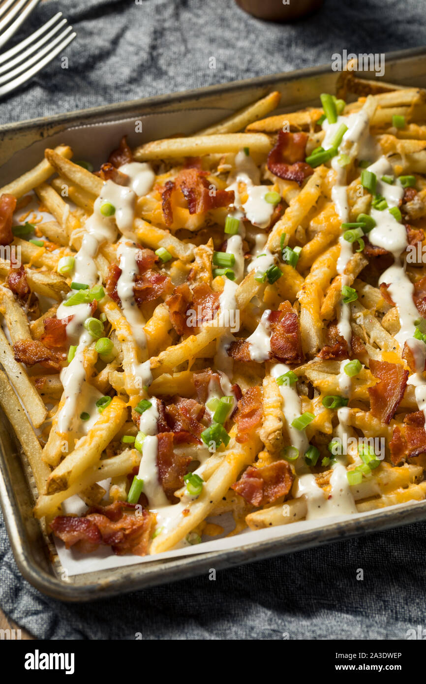 Homemade Bacon Cheddar Ranch Fries with Chives Stock Photo Alamy