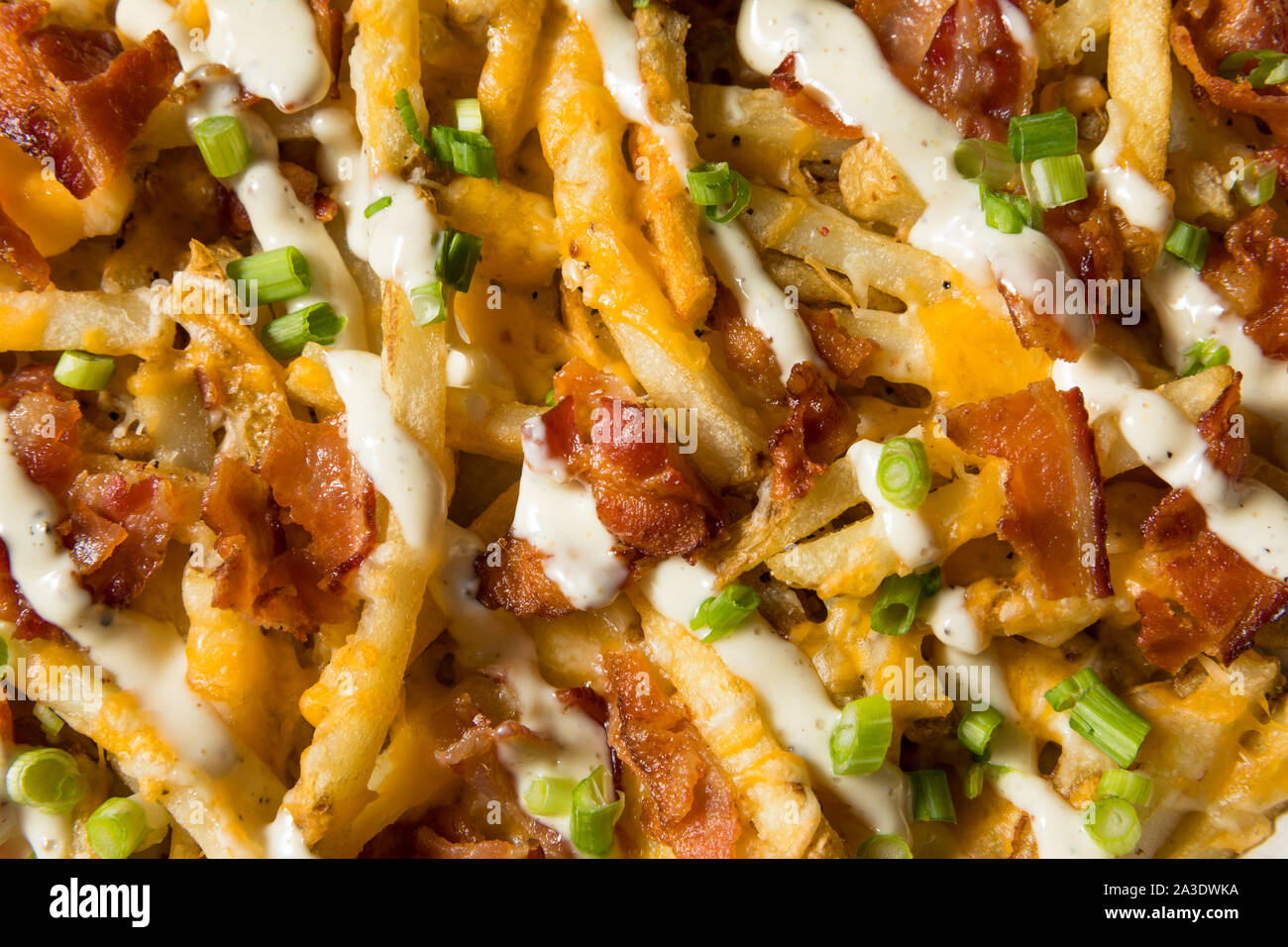 Homemade Bacon Cheddar Ranch Fries with Chives Stock Photo Alamy