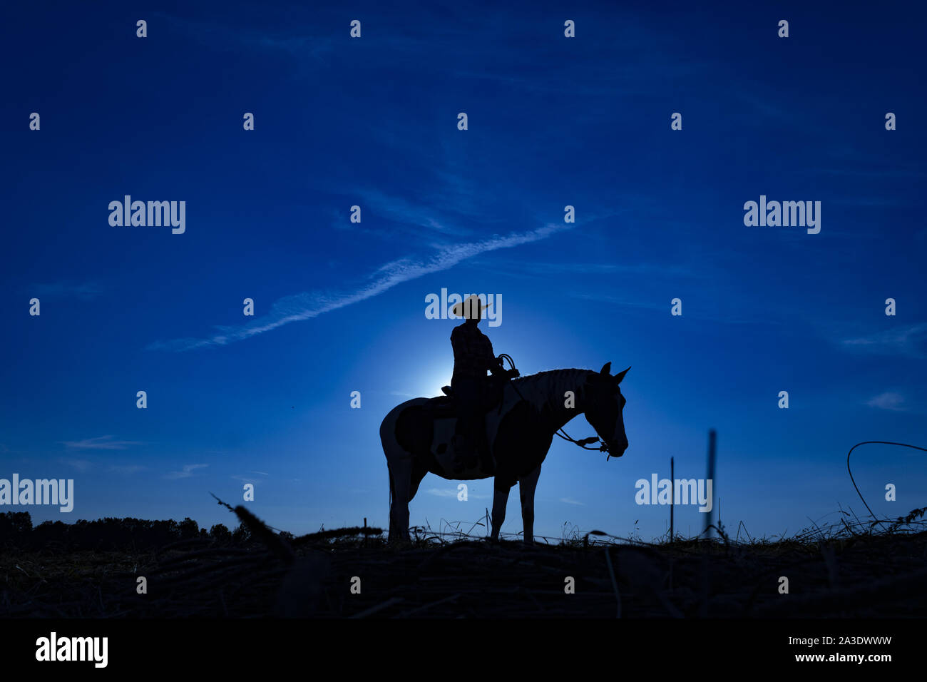 Silhouette cowgirl riding on open plain in western at sunrise in blue (1) Stock Photo