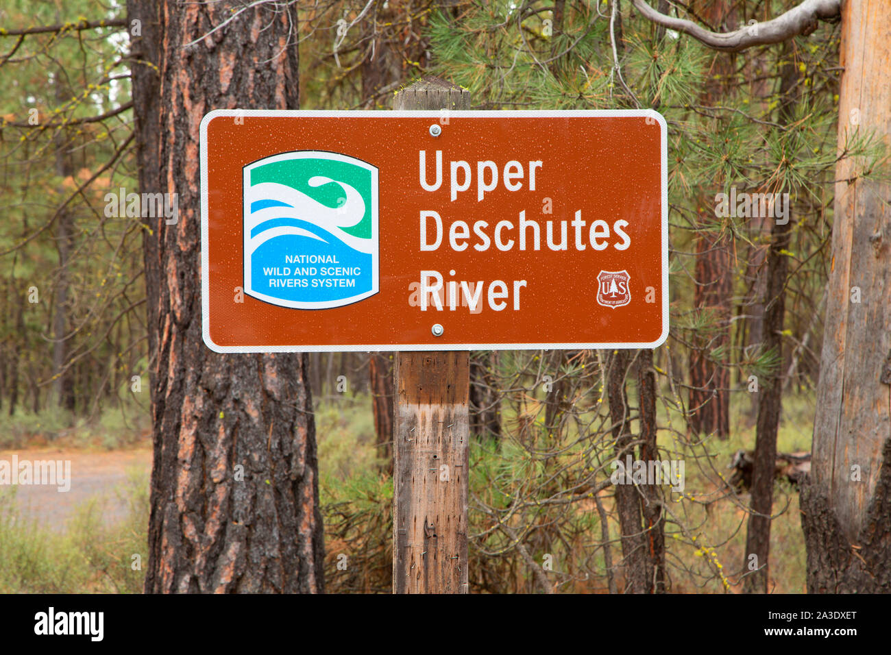 Deschutes Wild and Scenic River sign, Deschutes National Forest, Oregon Stock Photo Alamy