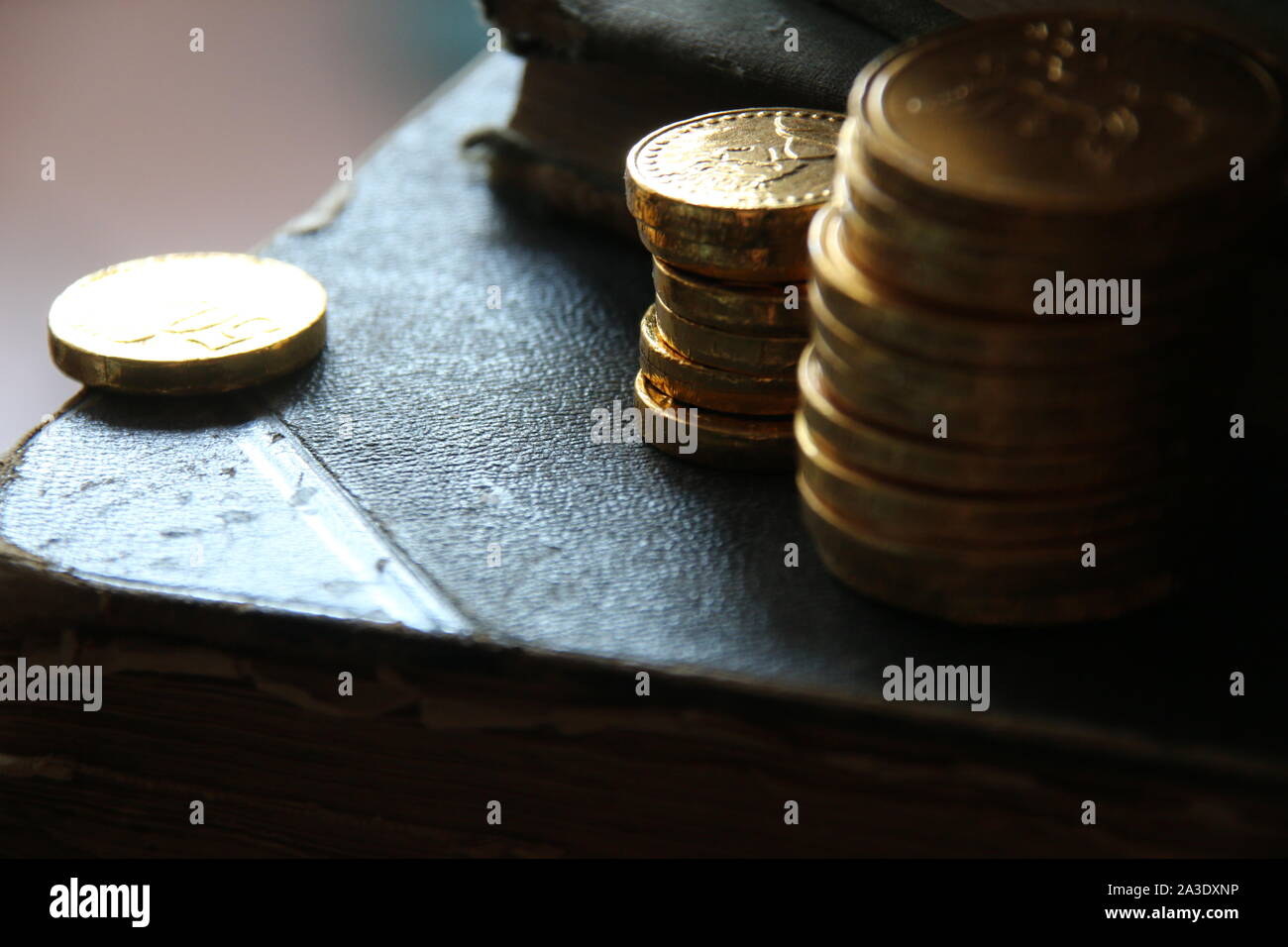 Money growth concept. Stacks of gold coins. Low key. Stock Photo
