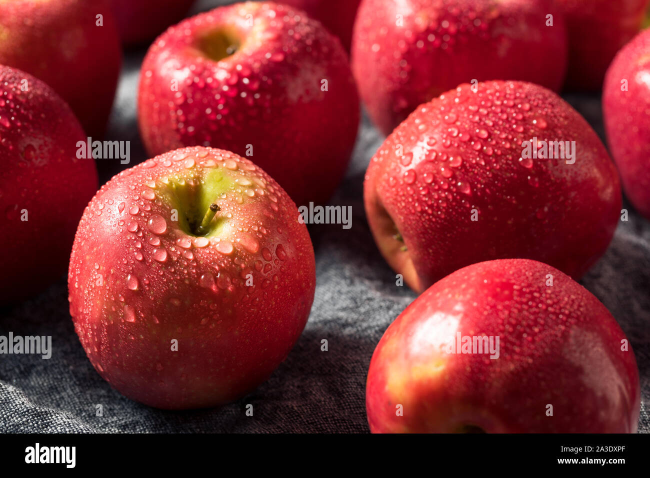 Raw Red Organic PInk Lady Apples Ready to Eat Stock Photo Alamy