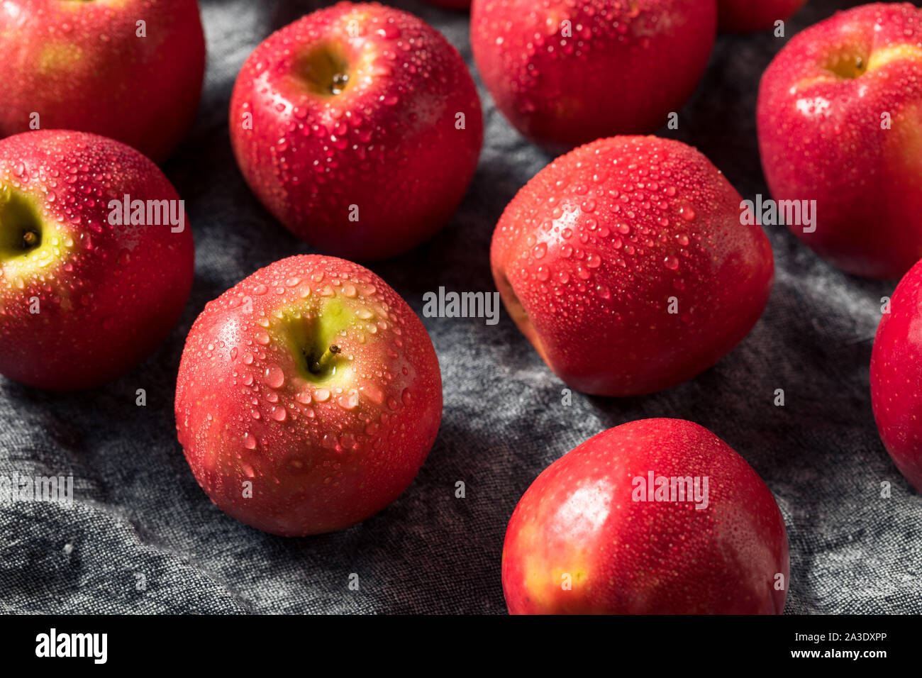 Raw Red Organic PInk Lady Apples Ready to Eat Stock Photo Alamy