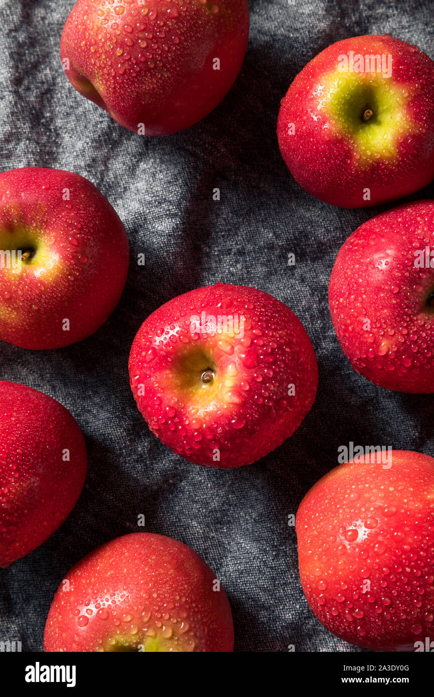 https://c8.alamy.com/comp/2A3DY0G/raw-red-organic-pink-lady-apples-ready-to-eat-2A3DY0G.jpg