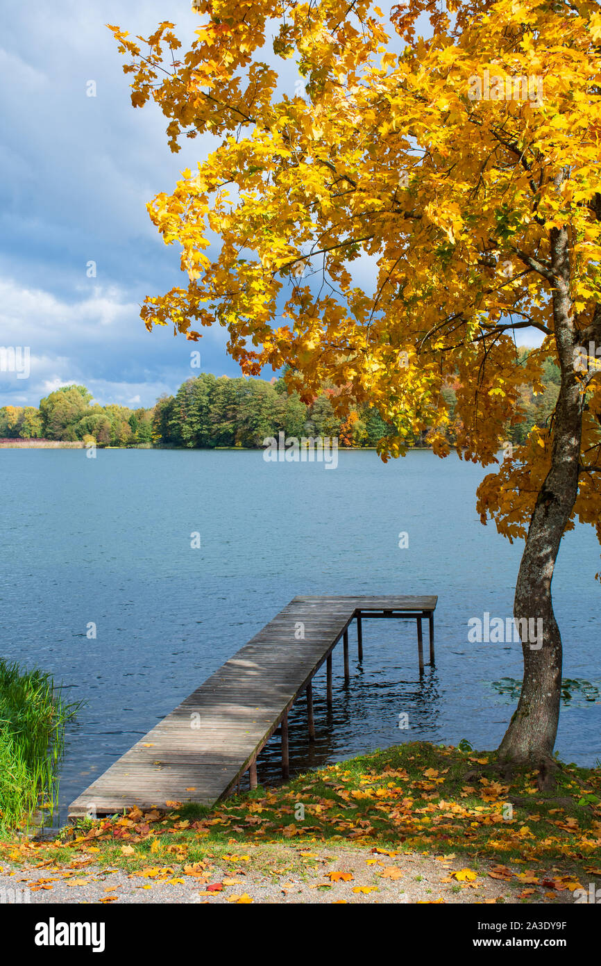 Forest with brilliant green, yellow and orange trees, lake and wooden pier, wonderful autumn landscape, cloudy sky after the rain, vertical Stock Photo
