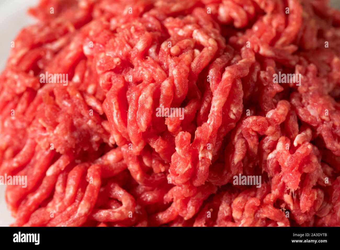 Raw Organic Red Ground Minced Beef Ready to Cook Stock Photo
