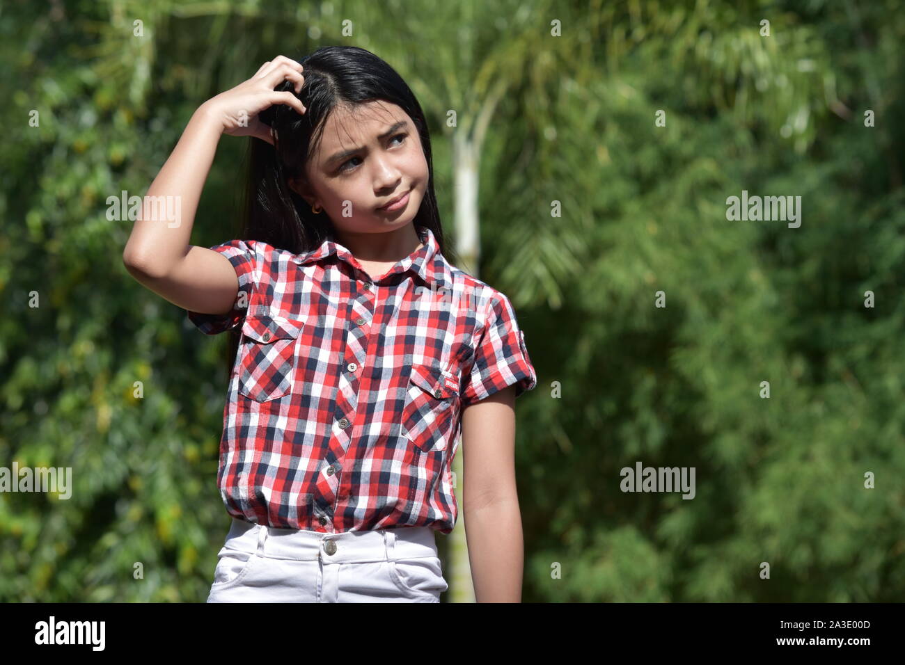 A Diverse Juvenile And Confusion Stock Photo Alamy