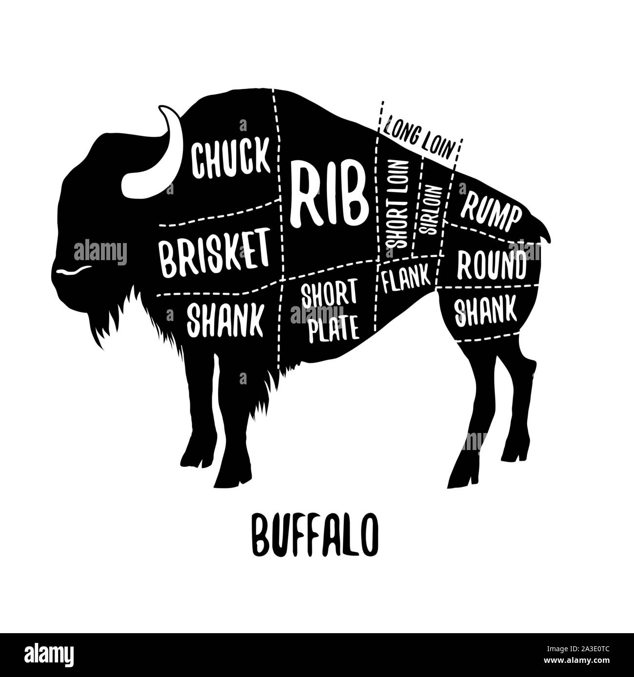 beskæftigelse hund til eksil Buffalo cutting charts vector illustration for butchers shop guide. Label  for farm design Stock Vector Image & Art - Alamy