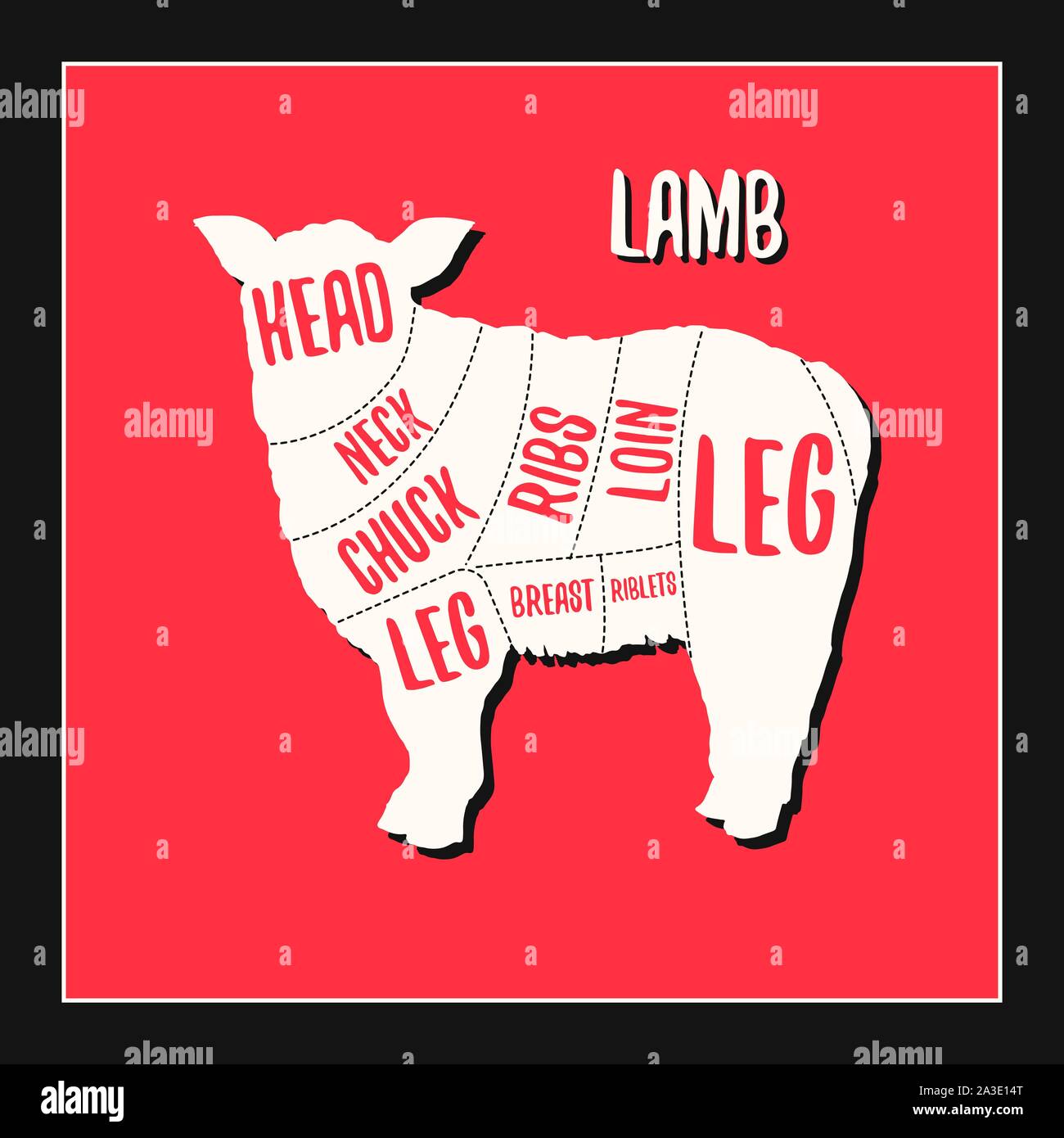 Lamb meat cutting charts vector illustration for butchers shop guide. Label for farm design Stock Vector