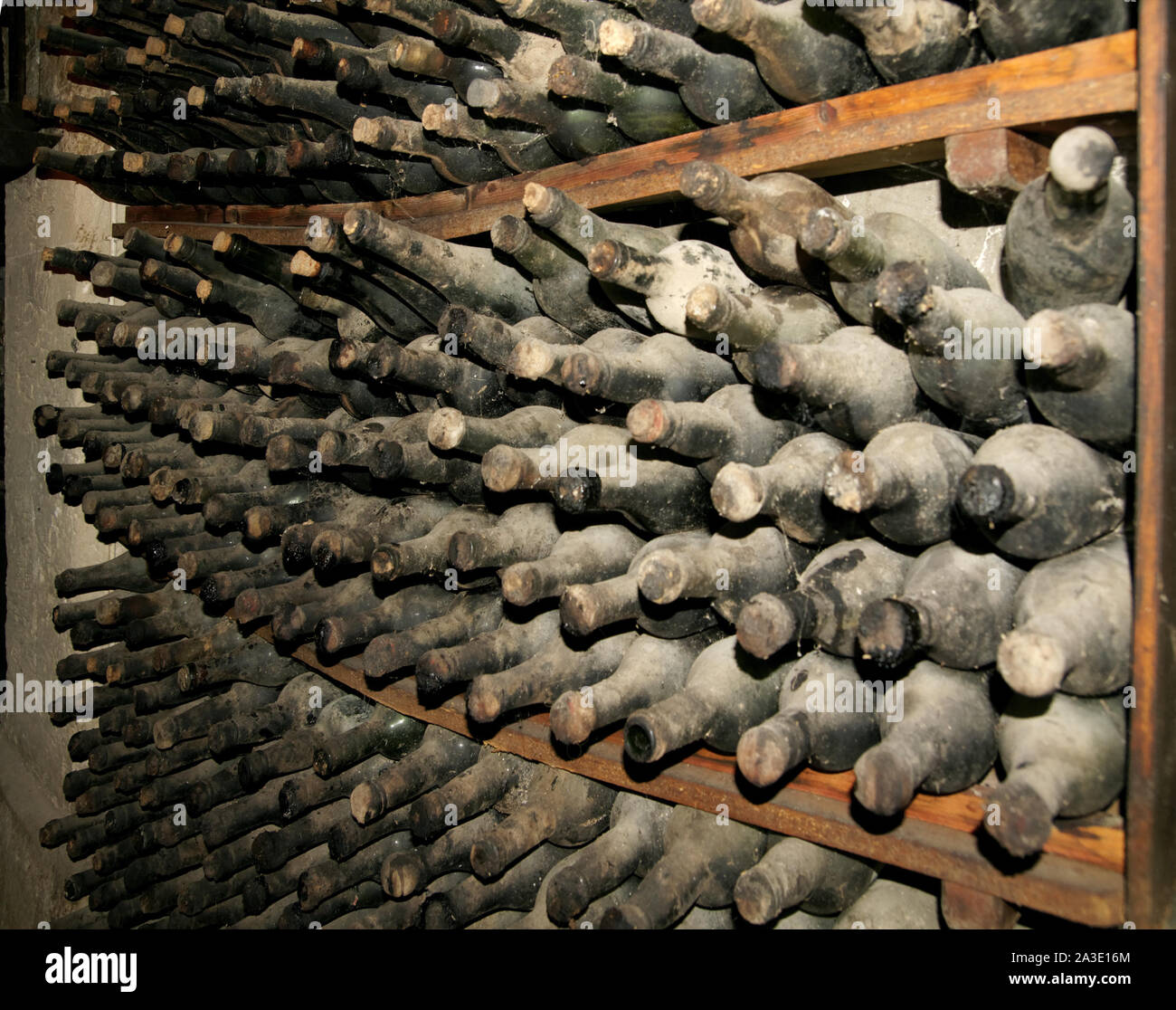 Old cellar full of dirty wine bottles Stock Photo Alamy