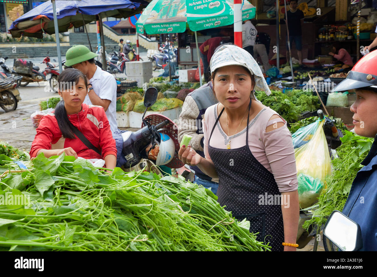 Vietnam Sa Pa Women with vegatebles from the gardens 27-5-2019 photo Jaco Klamer Stock Photo