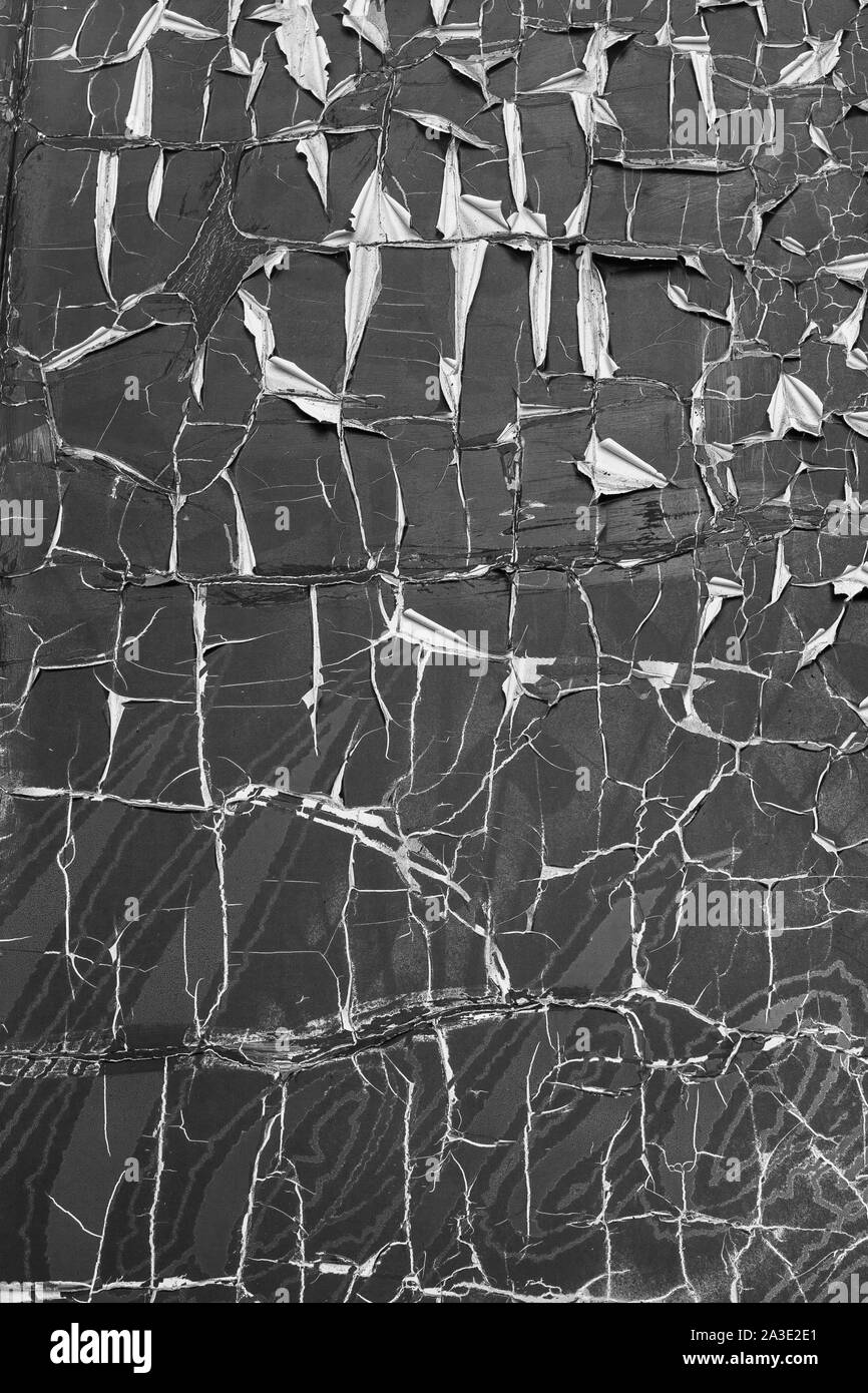 Abstract grunge background. Torn old paper similar to dry land in the steppe. Black and white color. Vertical frame. Stock Photo