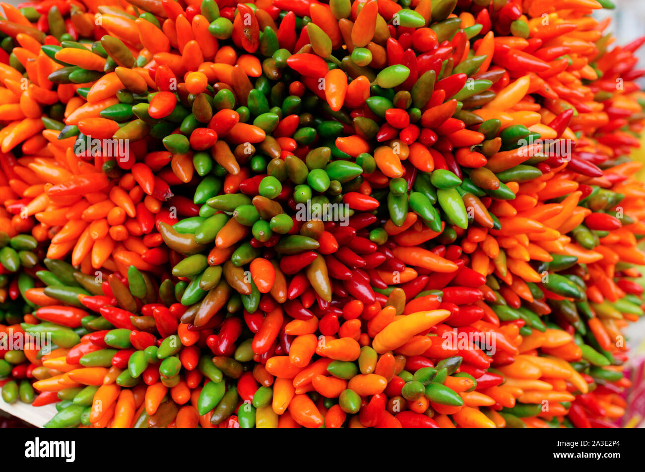 Bunch of chili peppers on street market Stock Photo - Alamy