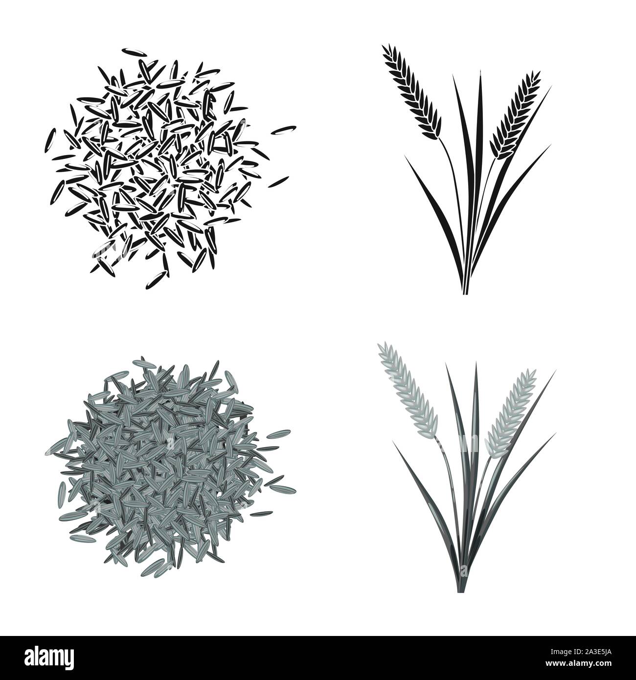 Isolated object of crop and ecological sign. Set of crop and cooking ...