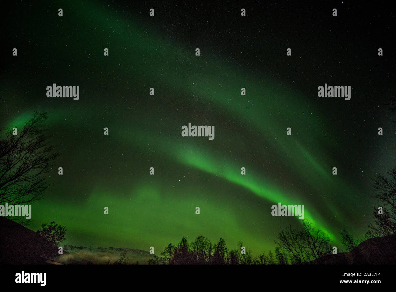 The Aurora Borealis, Northern Lights, near Tromso, Norway Stock Photo ...