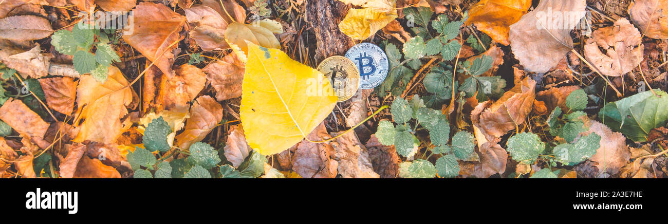 Golden And Silver Bitcoin In Autumn In Forest Park Long Banner