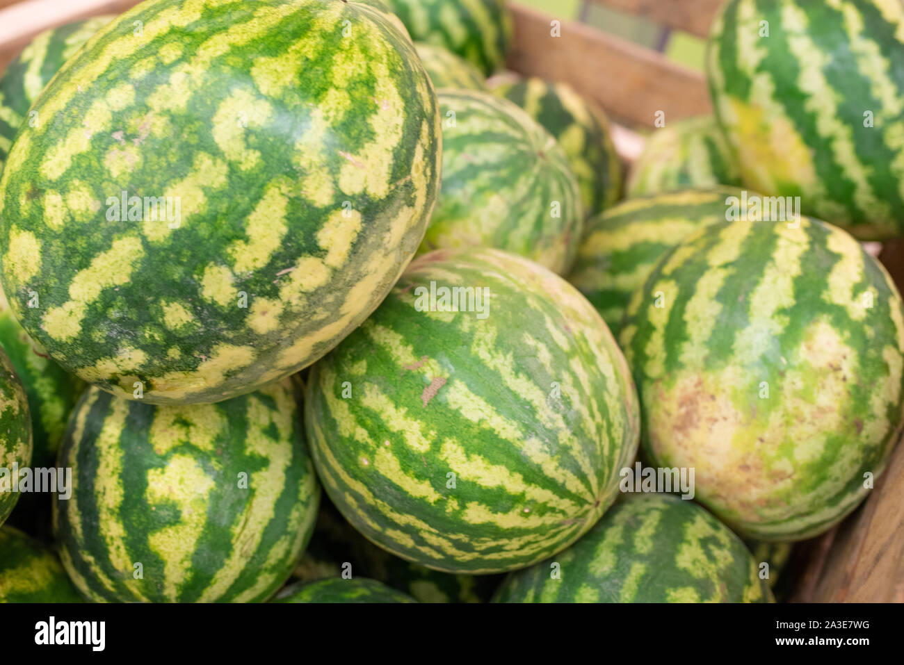 Large watermelons, in a box, in a supermarket Stock Photo - Alamy