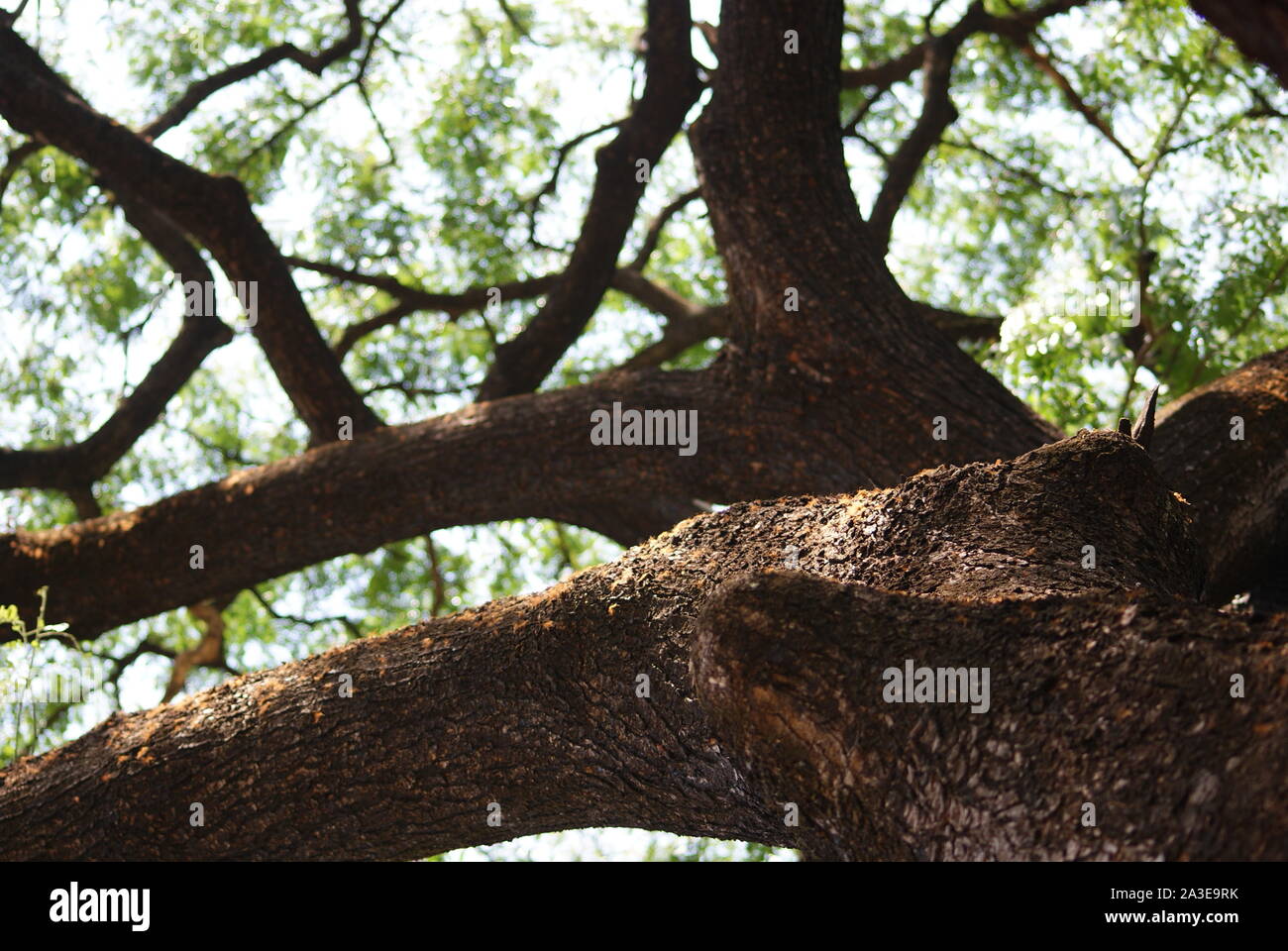 Peaceful nature hi-res stock photography and images - Alamy