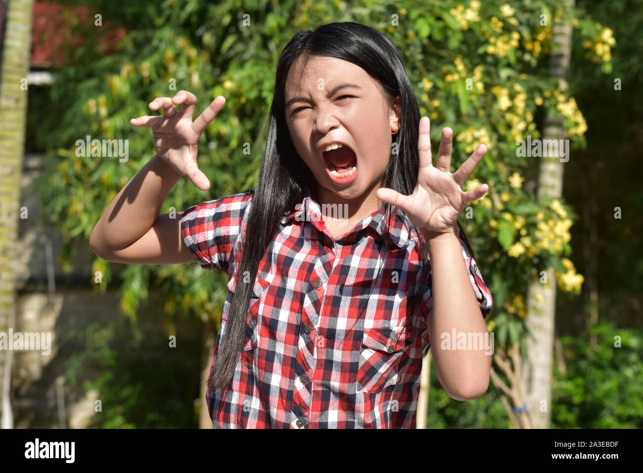 An Intimidating Filipina Person Stock Photo
