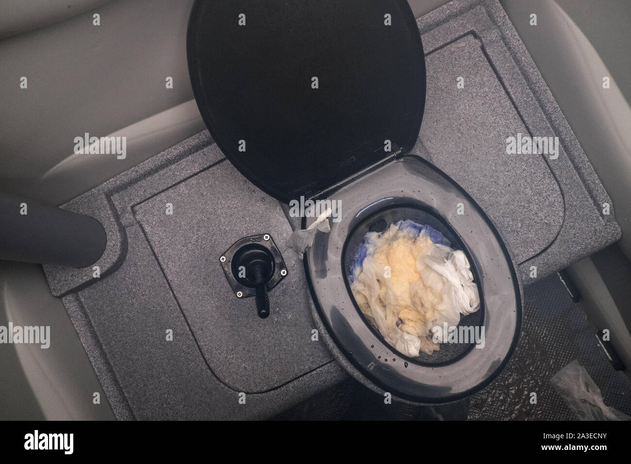 Inside,portable toilet,,toilet,toilets,toilet bowl, toilet paper