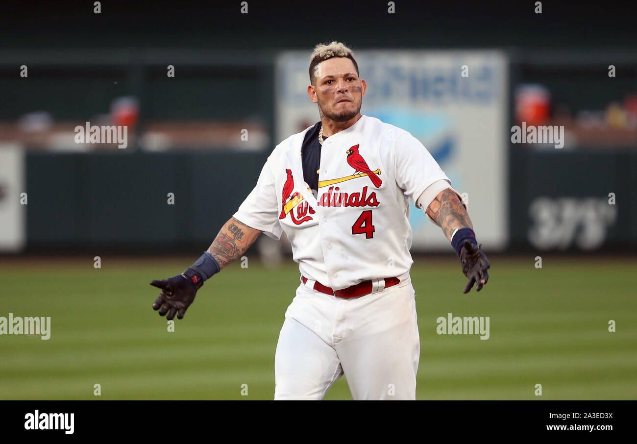 327 Puerto Rico Yadier Molina Stock Photos, High-Res Pictures, and