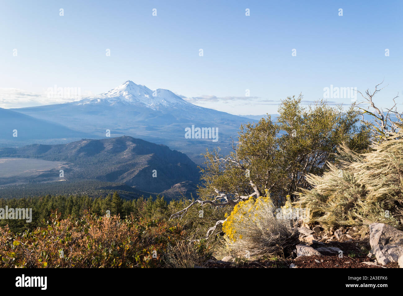 A view of Mount Shasta in California at dawn on an autumn day. Stock Photo