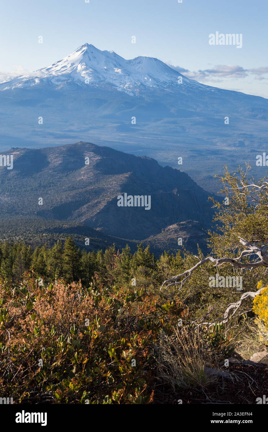 A view of Mount Shasta in California at dawn on an autumn day. Stock Photo