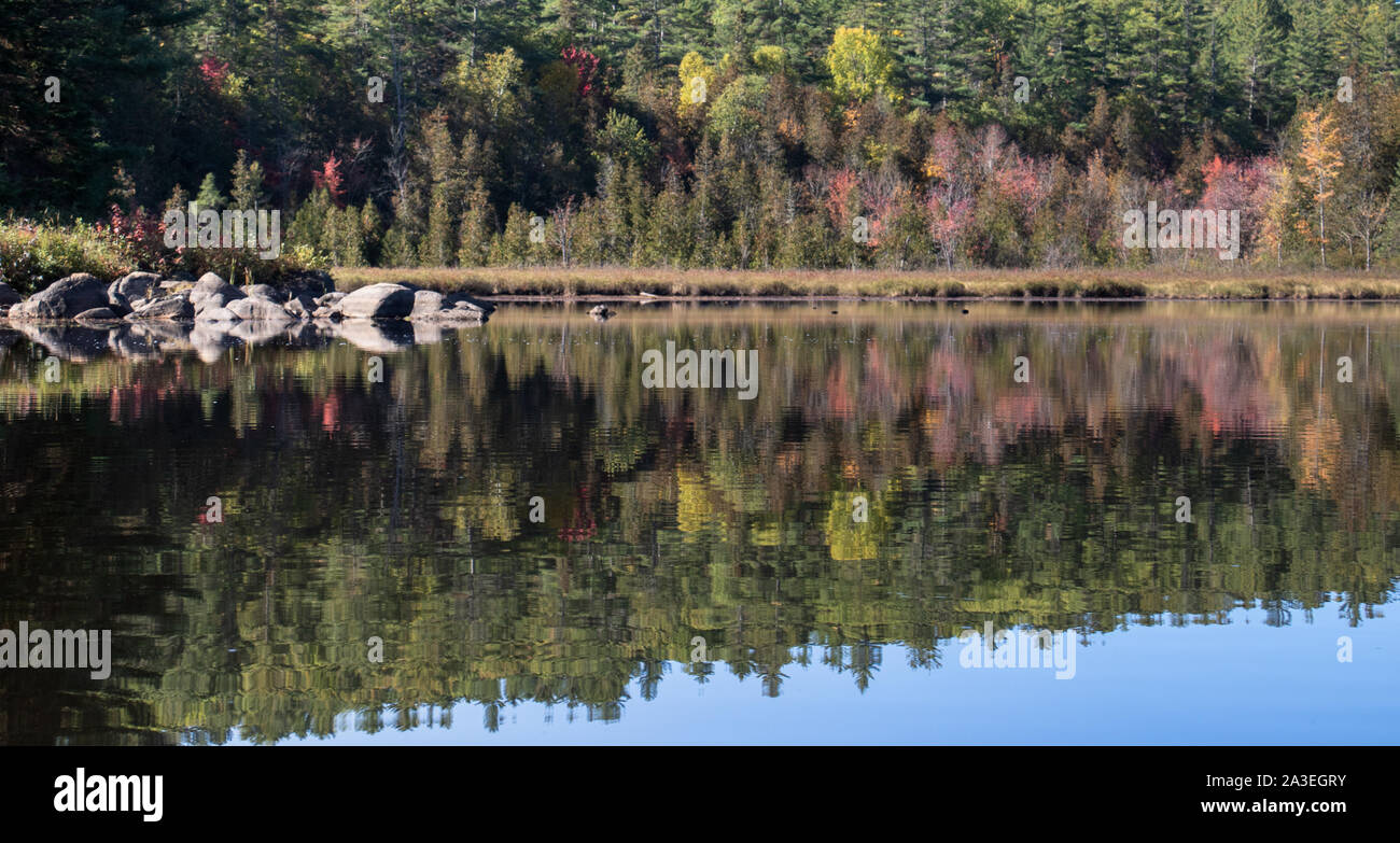 Lovely clear reflections of a  shoreline and fall colours in the calm water of Barron River in Algonquin Park Ontario Stock Photo