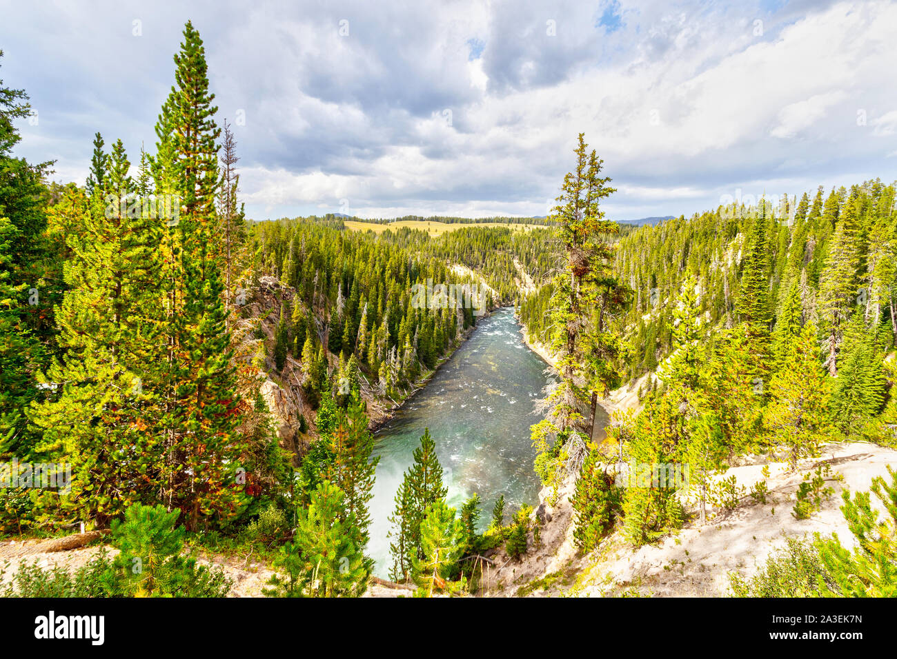 Yellowstone River flowing northward through Yellowstone National Park ...