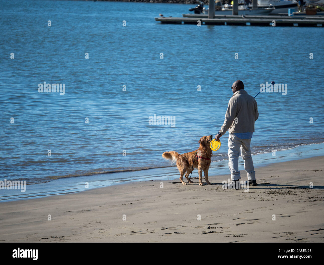 Man with frisbee and dog ball launcher playing with golden retriever on beach Stock Photo