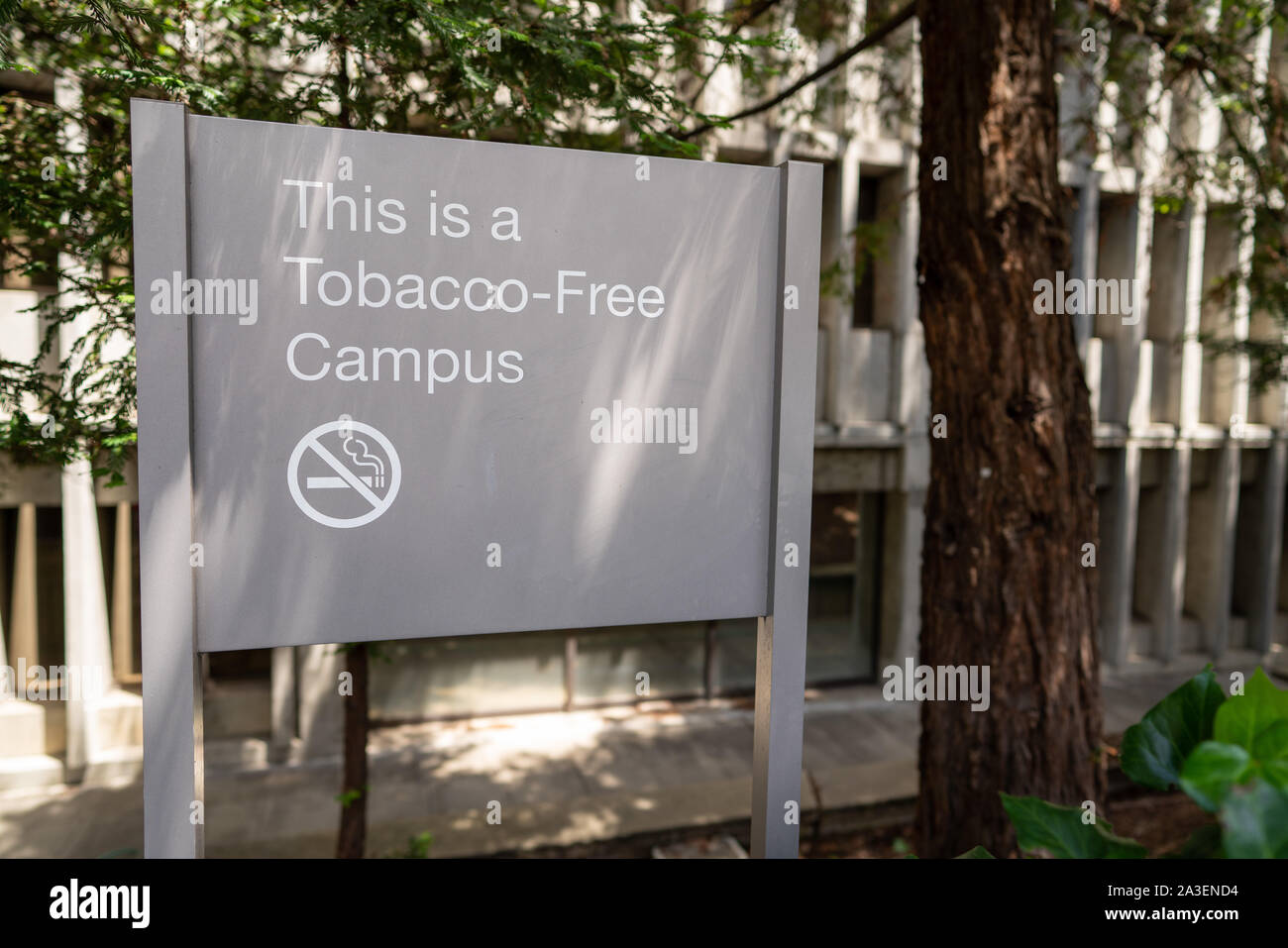 This is a tobacco-free campus sign with a crossed out cigarette symbol Stock Photo