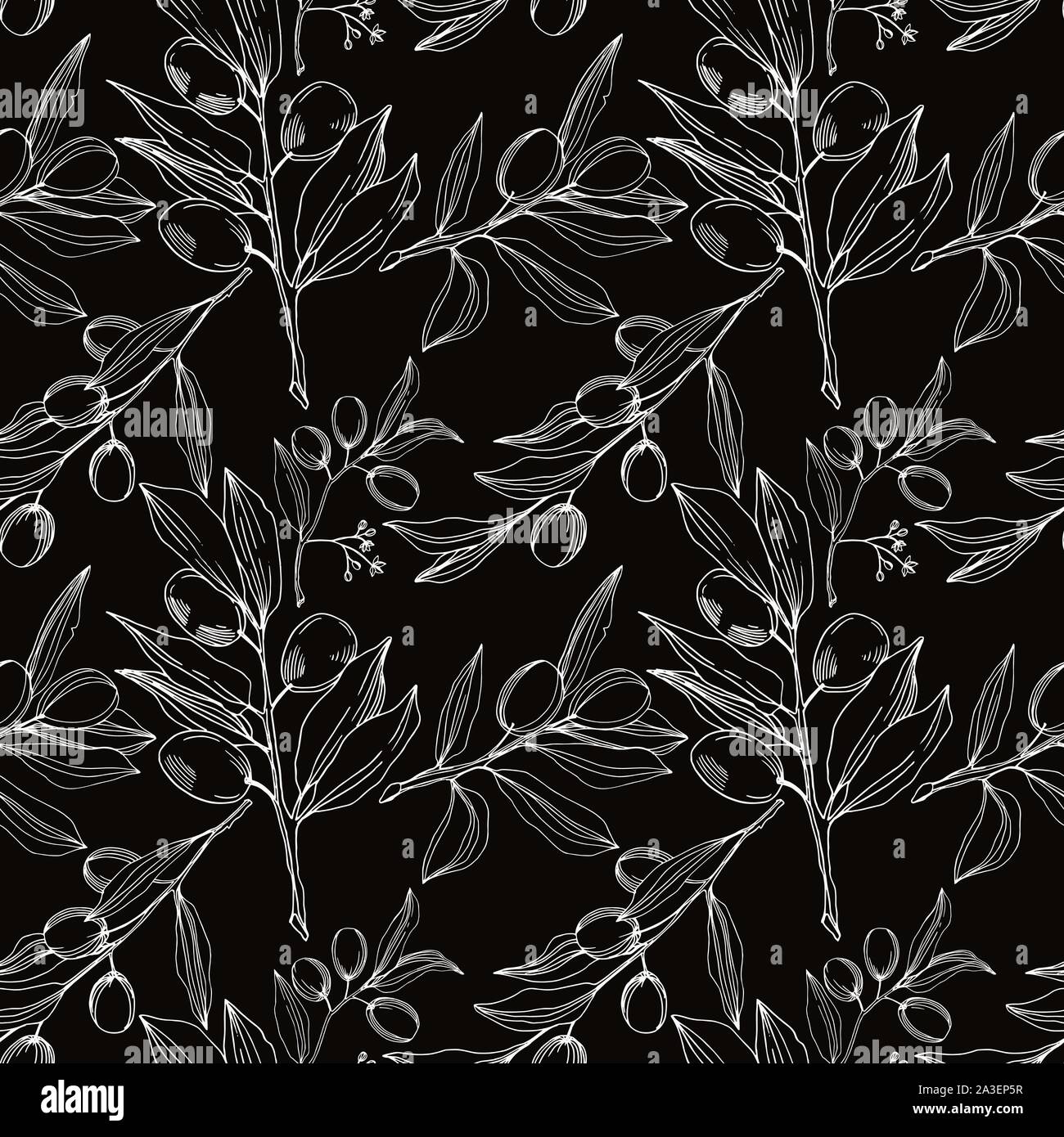 Vector Olive branch with fruit. Black and white engraved ink art ...