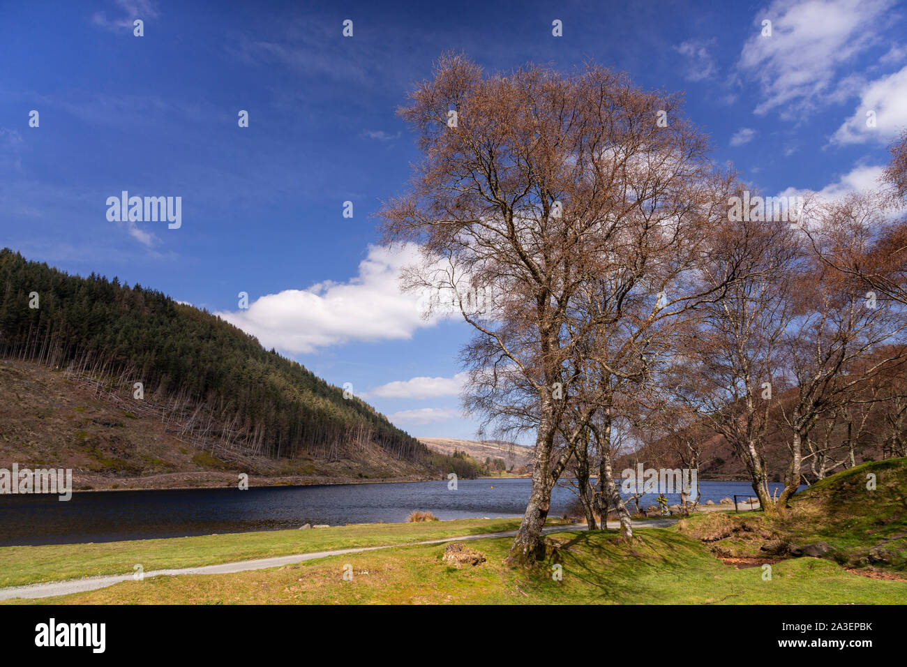 Llyn Geirionydd in the Snowdonia National Park, North Wales Stock Photo